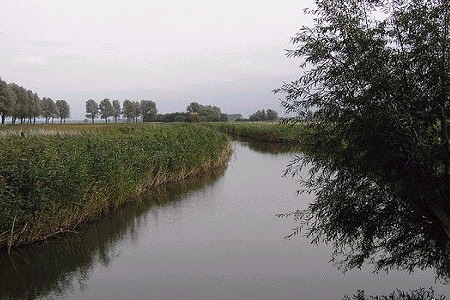 Foxlake.nl