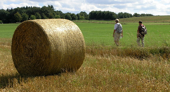  Panoramio - Georg May