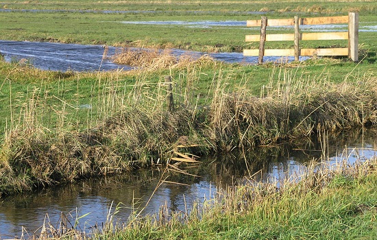 � www.haagsebunkerploeg.nl